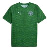 Dresovi Manchester City Pre-Match 2025-26 - Kratki Rukavima Zelena