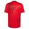 Dresovi Manchester United Chinese Lucky Knot Special Edition 2026 - Kratki Rukavima