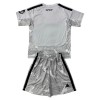 Dječji Dresovi Real Madrid Gray Version Golmanski 2026-27 - Kratki Rukavima