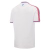 Dresovi Crystal Palace Domaći 2026-27 - Kratki Rukavima